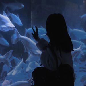 男女生在线做爱免费视频
