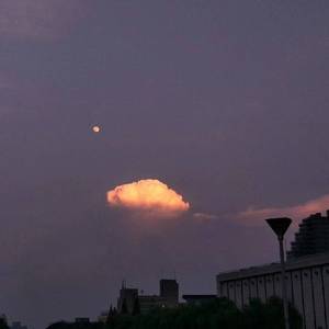 男女生在线做爱免费视频
